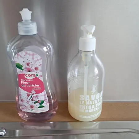 公寓 Laetitia Et Claude